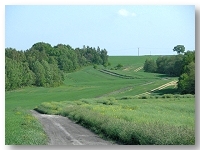 Droga polna pomiędzy Kądzielnem a Stramnicą