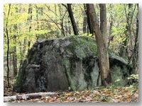 Kamień narzutowy w dolinie rzeki Błotnica