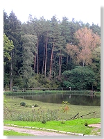 Wszemierzyce - staw w zabytkowym parku