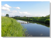 Rzeka Błotnica w okolicy Karcina