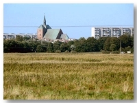Tereny łąkowe wokół Kołobrzegu