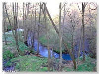 Rzeka Gościnka